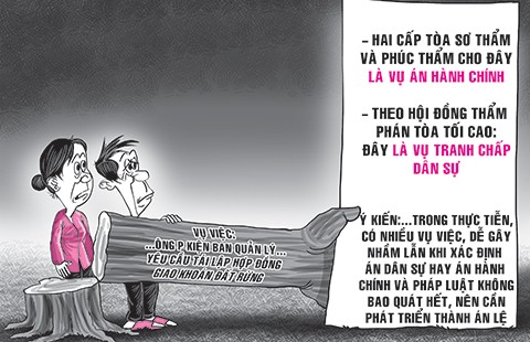 Giới thiệu ‘án lệ’ - Bài cuối: Án dân sự hay hành chính?