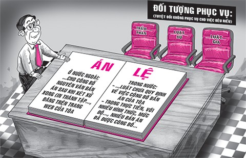 Không mã hóa, án lệ sẽ sinh động hơn