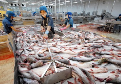 Thêm 22 doanh nghiệp Việt được xuất cá tra vào Mỹ