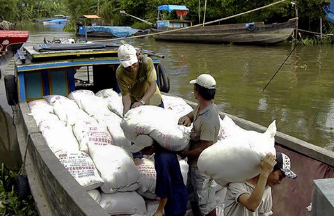 Tranh nhau mua lúa gạo