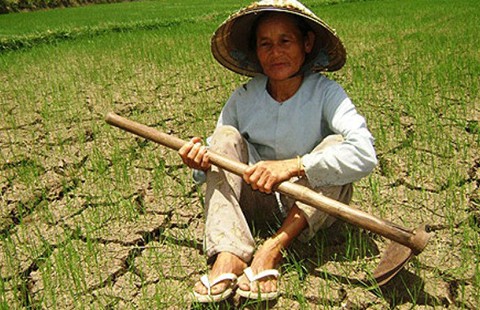 Không kỳ vọng Trung Quốc cứu hạn miền Tây