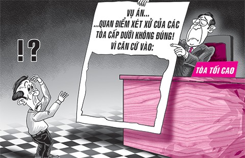 Án lệ phải chỉ ra căn cứ để kết luận