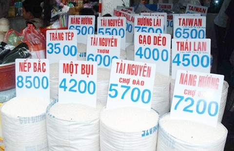 Đừng sốc vì gạo có thạch tín