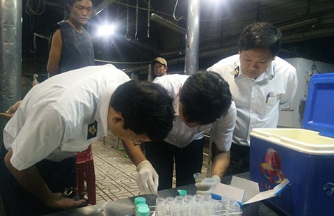 Lấy mẫu nước tiểu heo trên cả nước nhằm giám sát chất cấm