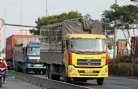 Kêu cứu vì xe ben hoành hành