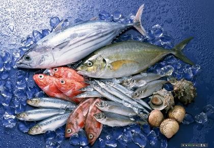 Sợ thua đối thủ ngoại, thủy sản ‘xin’ được vay ngoại tệ