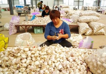 Việt Nam chi hơn 10 tỉ đô nhập hàng hóa Trung Quốc trong ba tháng