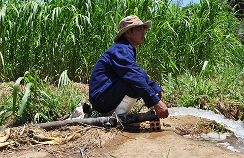 Nha Trang: Nhà máy nước bị đe dọa