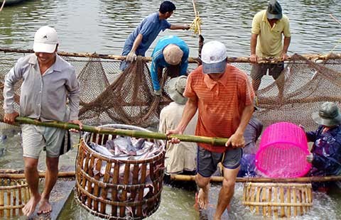 Để đại gia không ‘sớm nở tối tàn’