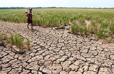 Thủy điện trên sông Mekong lợi ít, hại nhiều