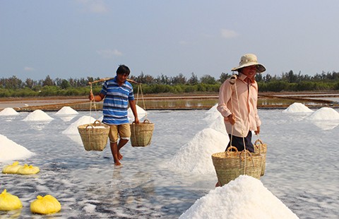 Cần Giờ: Làm muối kiểu gì cũng lỗ