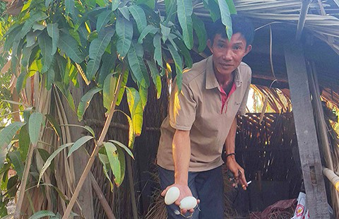 Bình Chánh: Khởi tố ‘chòi vịt’ là sai luật