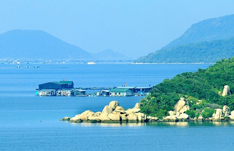 Người quyết liệt chống dự án thép chục tỉ đô ở Vịnh Vân Phong