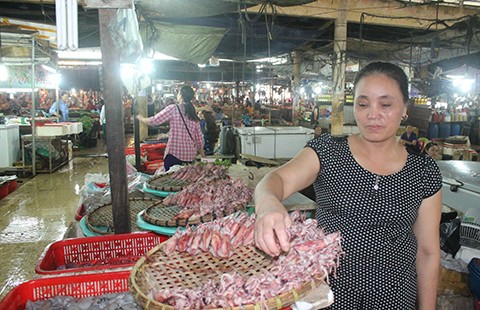 Vụ cá chết hàng loạt: Những nhận định trong thời gian qua