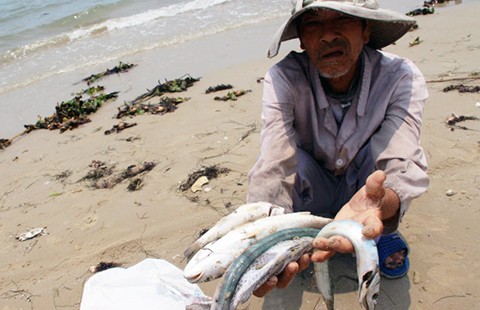 Kết nối