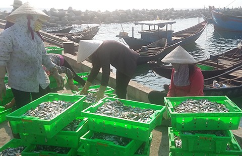 Hai đoàn chuyên gia cùng kiểm tra Formosa