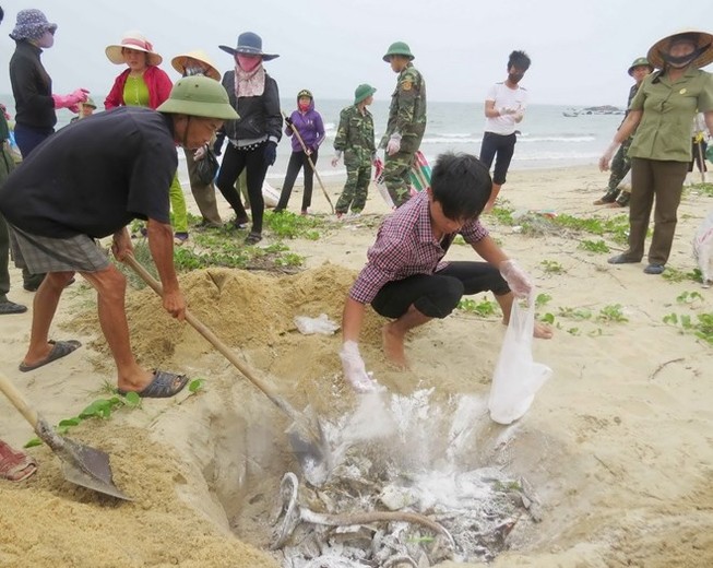 Vụ cá chết trên sông Bưởi: Tham mưu chưa kịp thời