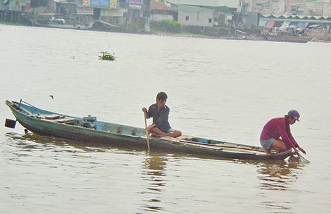 Nước sông Hậu trong xanh: Đừng quá lo!