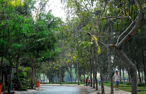 Sắc hoa màu nhớ