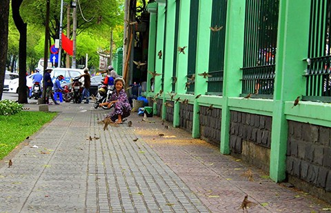Hơn 20 năm nói chuyện với chim trời