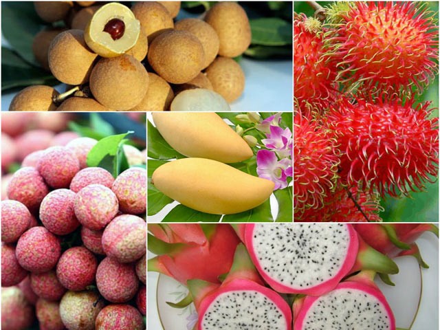 Nhiều loại trái cây tăng giá, không đủ hàng xuất khẩu