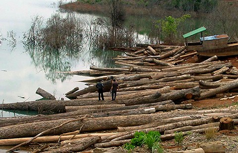 Kiểm lâm nổ súng bắt gỗ lậu, một kẻ phá rừng tử vong