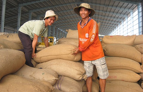 TQ siết chất lượng, gạo Việt lo lắng