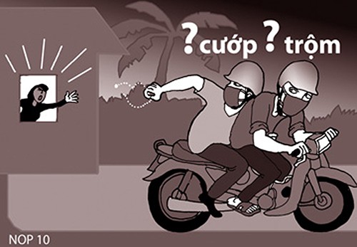 Cướp… lúa