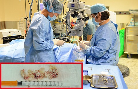 Bác sĩ Việt ‘cứu nguy’ nhiều quý bà
