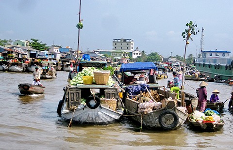 Đánh thức “cô gái miệt vườn” ngủ quên