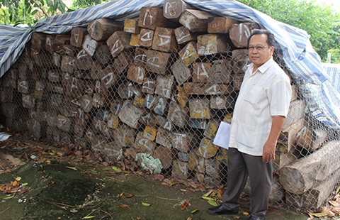 Kết luận không buôn lậu vẫn ‘giam’ hàng