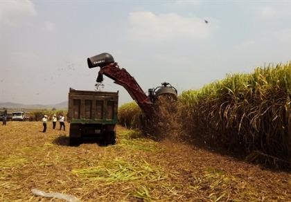 Hoàng Anh Gia Lai được miễn thuế nhập khẩu đường từ Lào
