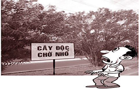 Cây độc khó nhổ