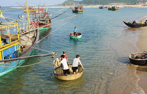 Vụ cá chết: Trình Chính phủ phương án hỗ trợ ngư dân
