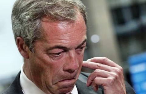 Chủ tịch đảng ủng hộ Brexit từ chức