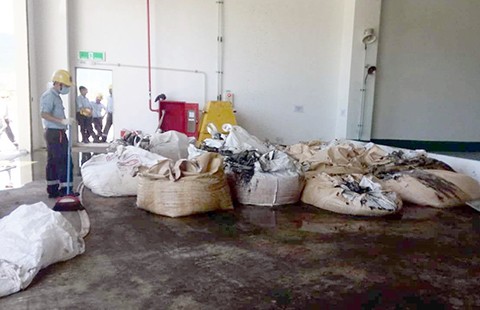 Giám đốc công ty môi trường đem chất thải của Formosa về... bón cây