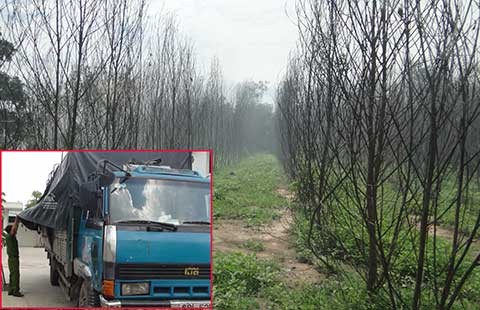 Đồng Nai: Bãi rác độc hại có giang hồ gác