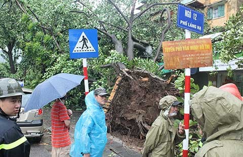 Hậu quả nặng nề từ bão số 1, do đâu?