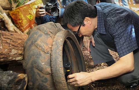 Bệnh sốt xuất huyết ở Tây Nguyên cao gấp hàng chục lần cả nước