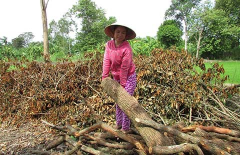 Lấy tài sản chung để thi hành án nghĩa vụ riêng