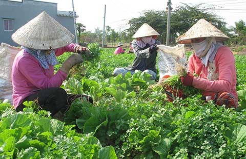 Kêu gọi hiến kế để phát triển đồng bằng sông Cửu Long