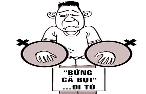 Bị bắt vì ‘bứng cả bụi’