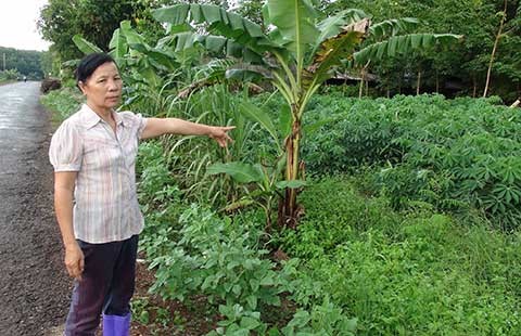 Vụ UBKT huyện ủy ‘tuyên án’ thay tòa: Tỉnh ủy Bình Phước sẽ vào cuộc làm rõ