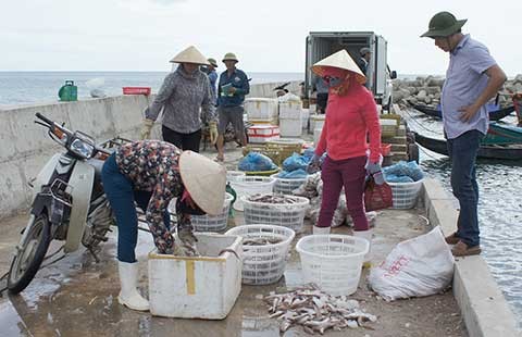 Mất cả triệu USD vì Formosa, doanh nghiệp kêu cứu