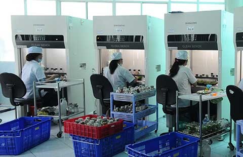 Xây dựng TP.HCM sớm trở thành TP thông minh