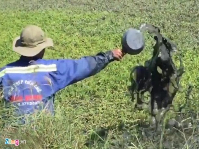TP.HCM tăng giám sát, ngăn chặn dùng hóa chất tưới rau