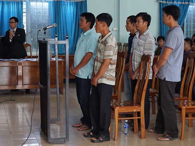 Tòa vẫn kết án vụ cưa gỗ khô trong rừng
