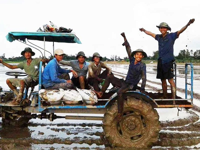 Người làm ra gạo sạch bán cháy hàng tại TP.HCM