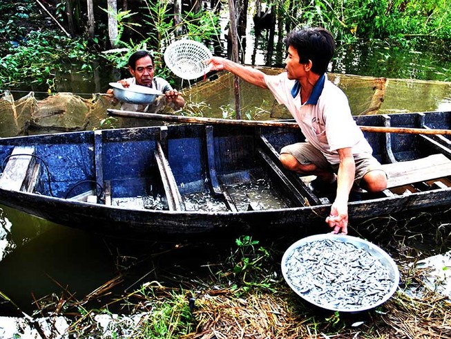 Vớt vát mùa lũ muộn