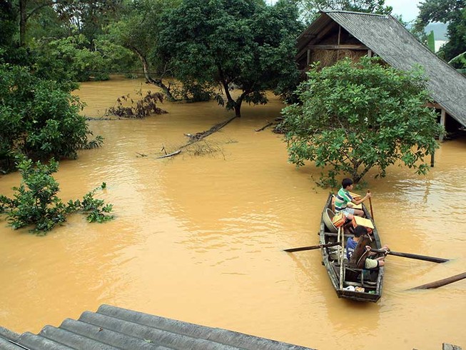 Tan hoang làng biển Cảnh Dương